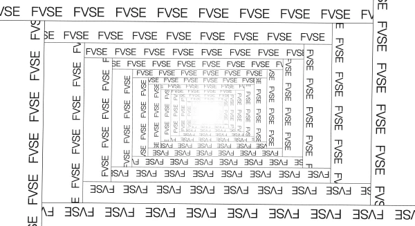 FVSE